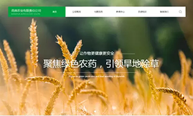 荷商農(nóng)業(yè)展示