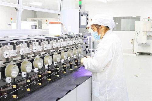 整合科創(chuàng)資源搶占新興賽道 遂寧新質(zhì)生產(chǎn)力蓄勢而行